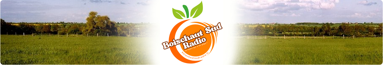 Boischaut-Sud Radio